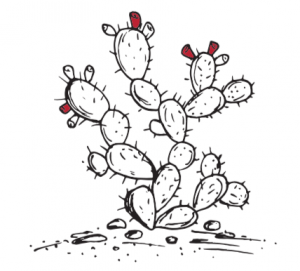 Cartoon Drawing of Prickly Pear Cactus